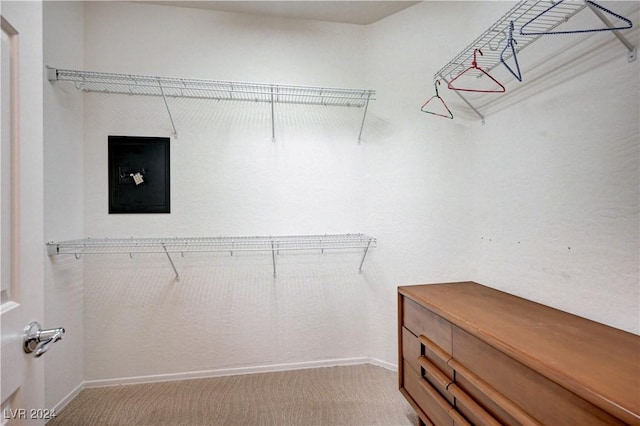 7457 Widewing Dr, North Las Vegas, NV 89084 - walk in closet featuring light carpet