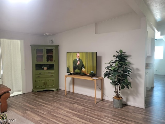 interior space with dark wood-type flooring