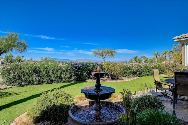 view of yard with a patio