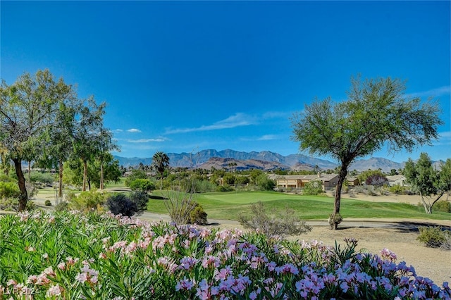 view of community with a mountain view and a yard