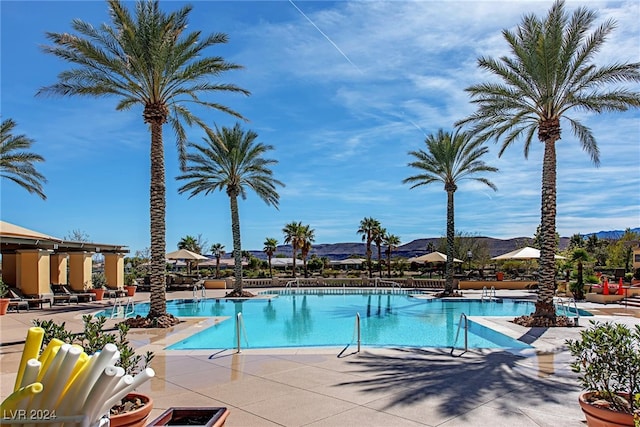 view of pool featuring a patio