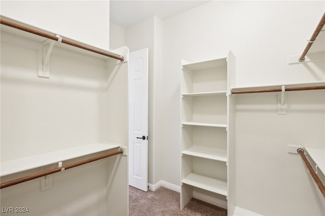 spacious closet with carpet