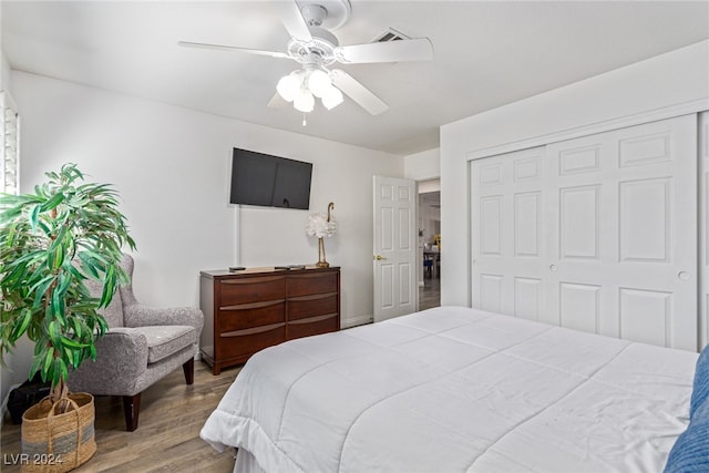 bedroom featuring a closet, light hardwood / wood-style flooring, and ceiling fan