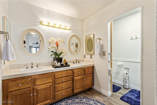 bathroom with vanity and hardwood / wood-style flooring