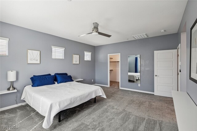 bedroom featuring carpet floors, a spacious closet, ceiling fan, and a closet