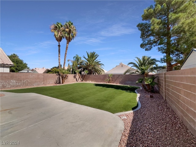 view of yard with a patio