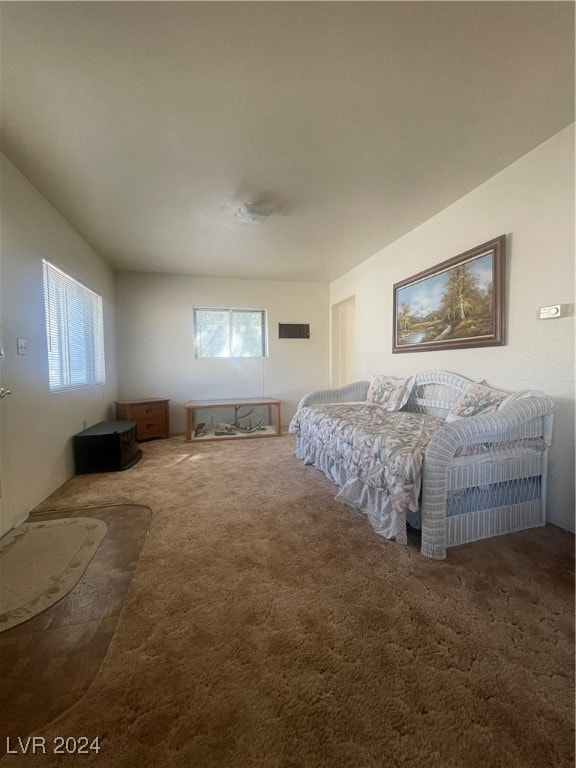 carpeted bedroom with multiple windows