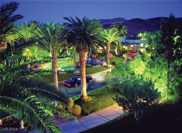 view of property's community featuring a yard and a mountain view