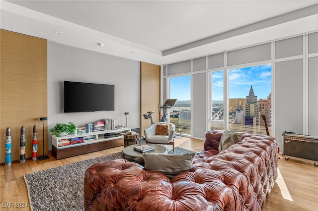 living room with hardwood / wood-style floors