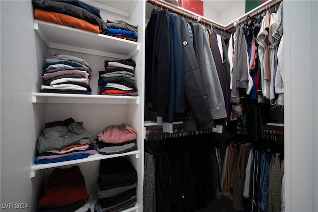 view of spacious closet