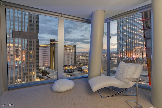 sitting room with a wall of windows and carpet