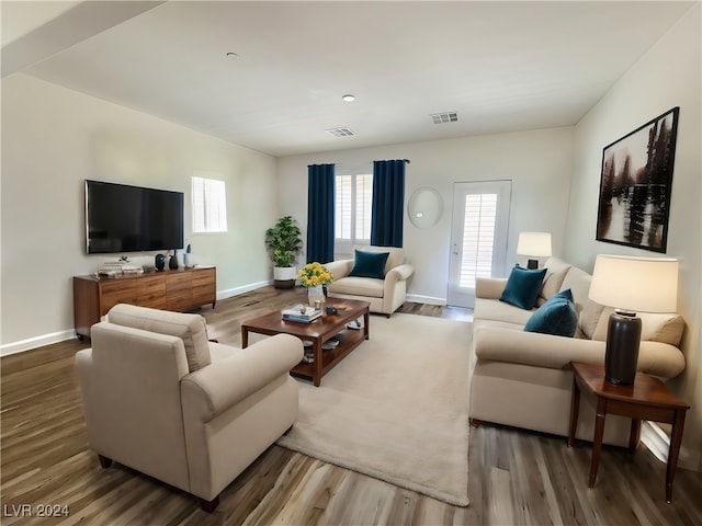 living room featuring wood-type flooring and a wealth of natural light