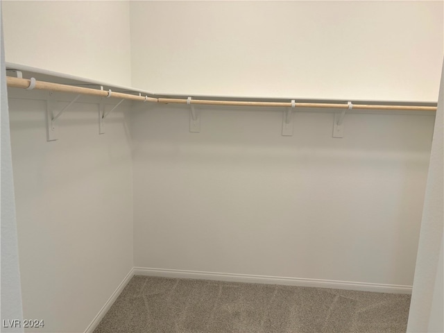 spacious closet featuring carpet flooring