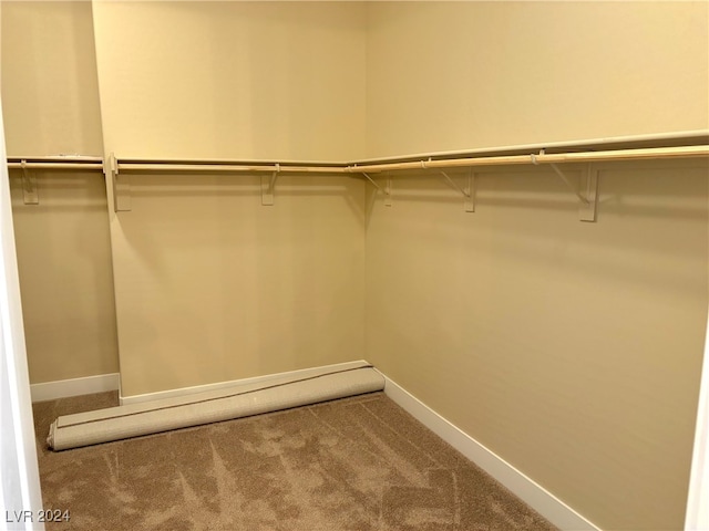 walk in closet with carpet flooring