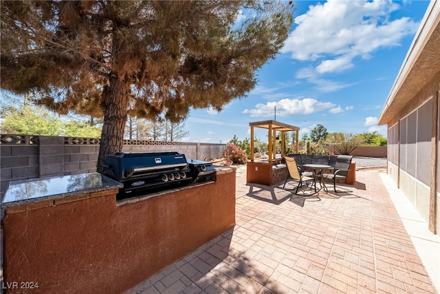 view of patio / terrace featuring area for grilling