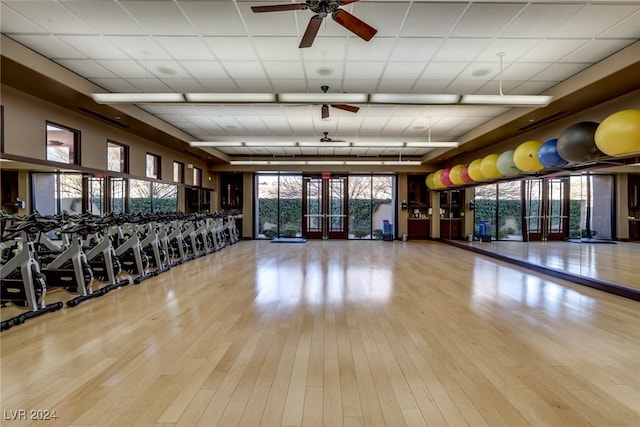 workout area featuring french doors, a drop ceiling, light hardwood / wood-style floors, and ceiling fan