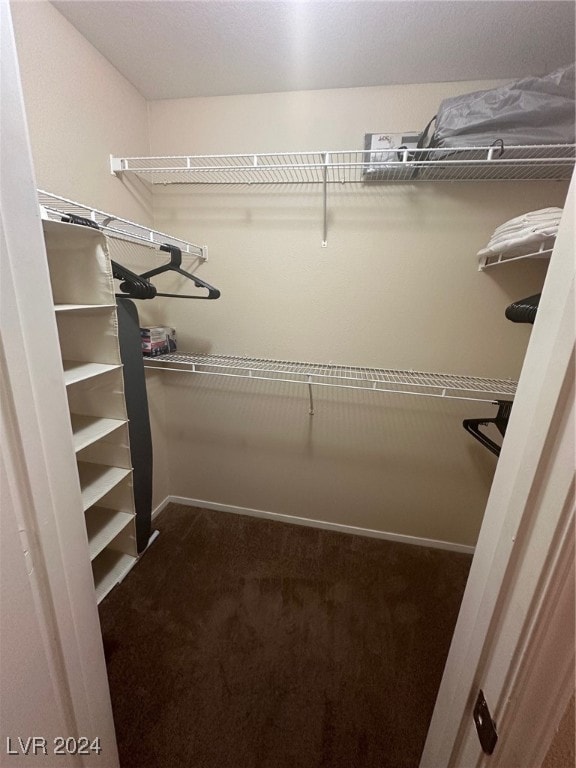 spacious closet featuring dark colored carpet