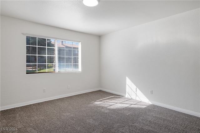 empty room featuring carpet