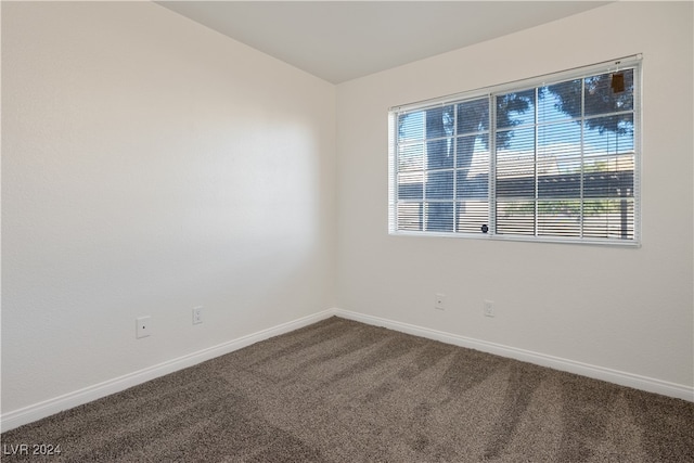 spare room featuring carpet floors