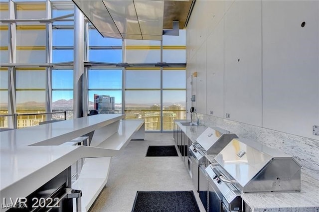 view of patio / terrace featuring sink