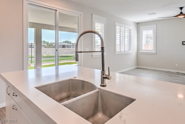 kitchen with ceiling fan, hardwood / wood-style flooring, plenty of natural light, and sink