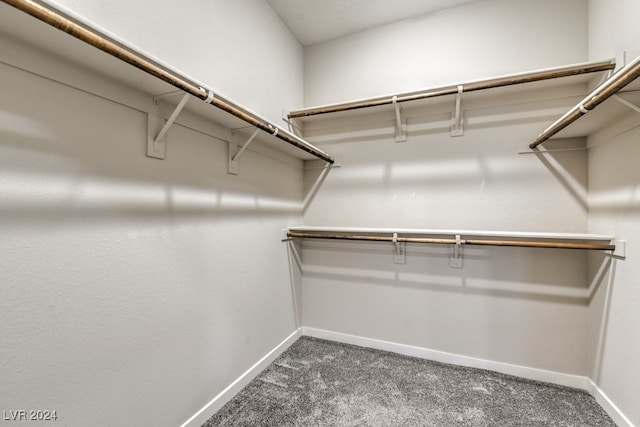 spacious closet featuring dark colored carpet