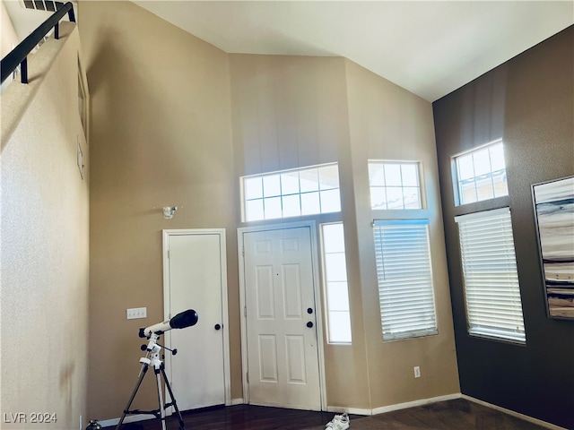 entrance foyer featuring plenty of natural light and dark wood-type flooring