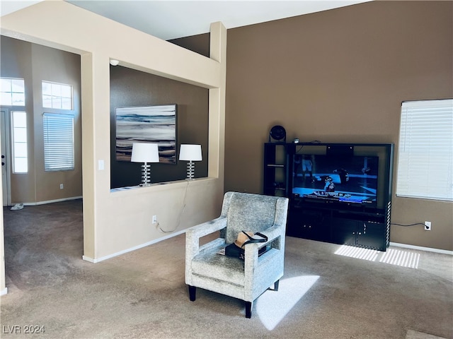 sitting room with carpet flooring