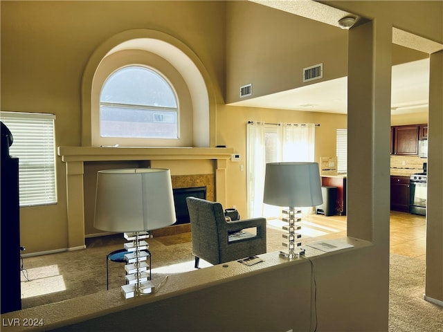 office area with a wealth of natural light, light colored carpet, and a fireplace