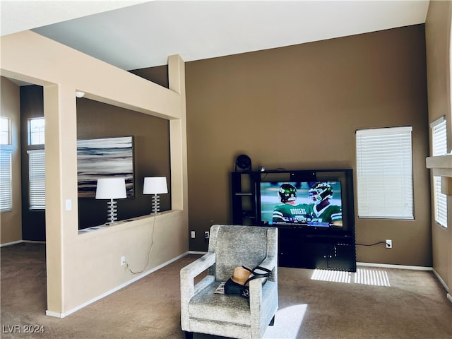 living area featuring carpet floors