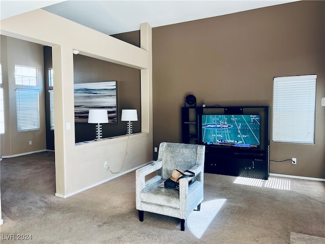 sitting room featuring carpet