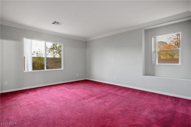 spare room with carpet floors and crown molding