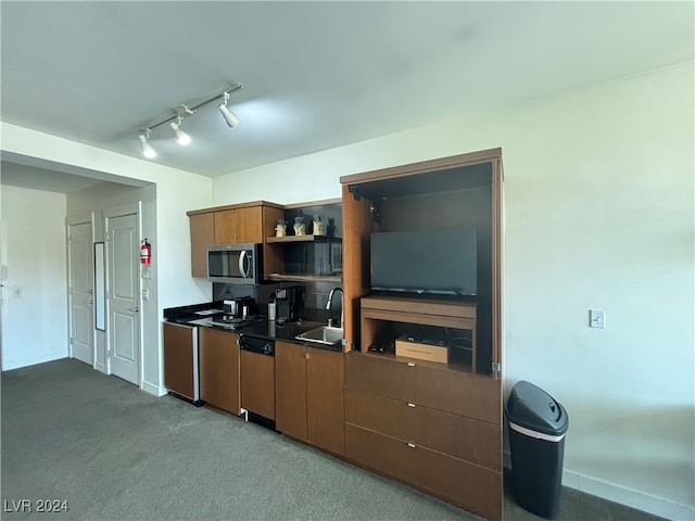 kitchen with stainless steel appliances, sink, carpet, and rail lighting