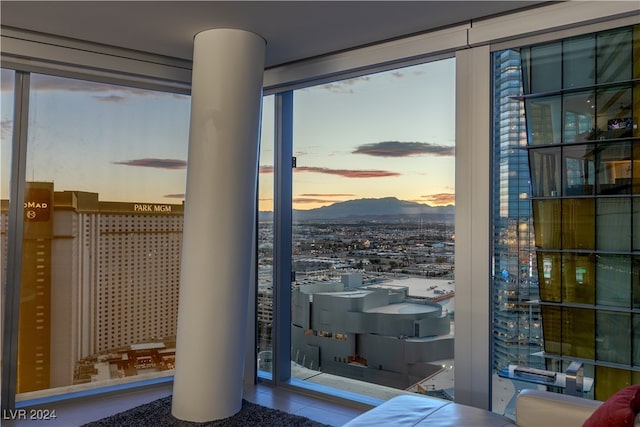 doorway with a mountain view and a wealth of natural light