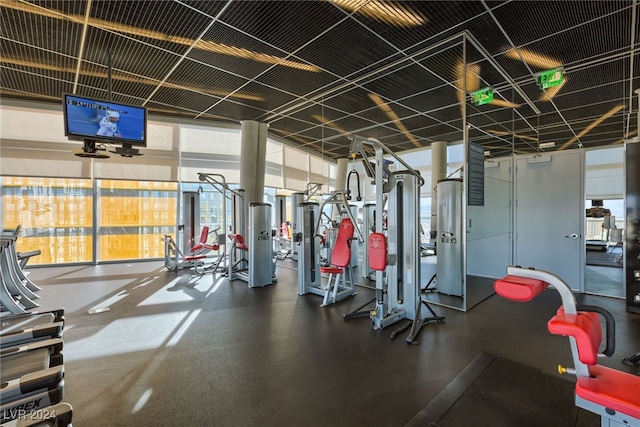 exercise room with expansive windows