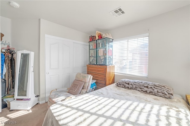 carpeted bedroom featuring a closet