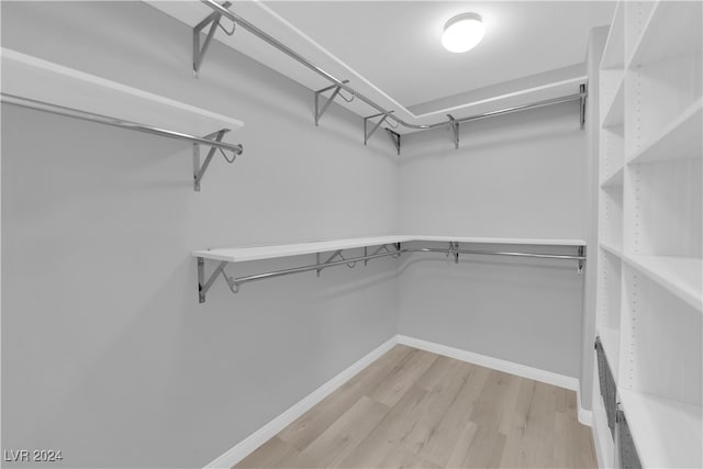 walk in closet featuring light hardwood / wood-style flooring