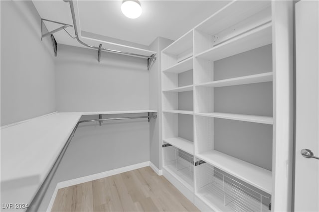 spacious closet with light hardwood / wood-style flooring