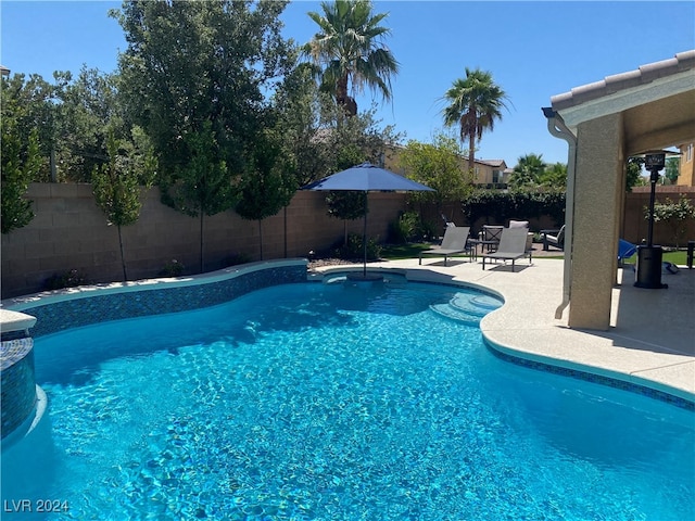 view of swimming pool featuring a patio