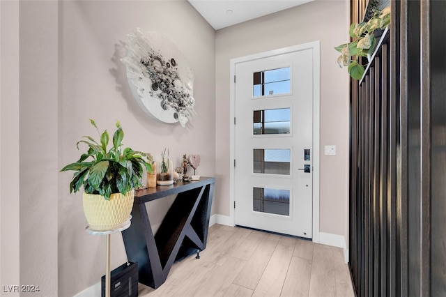 foyer with light hardwood / wood-style flooring