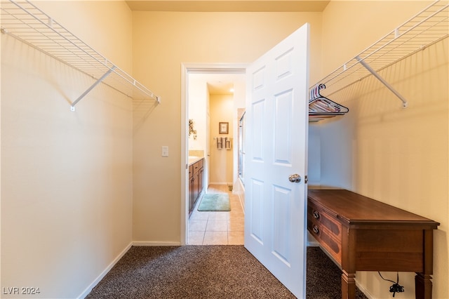 spacious closet featuring light carpet