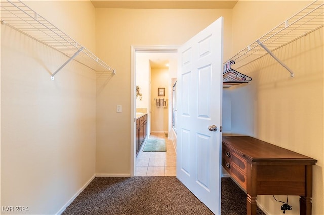 3550 Bay Sands Dr Unit 2082, Laughlin, NV 89029 - spacious closet with light colored carpet