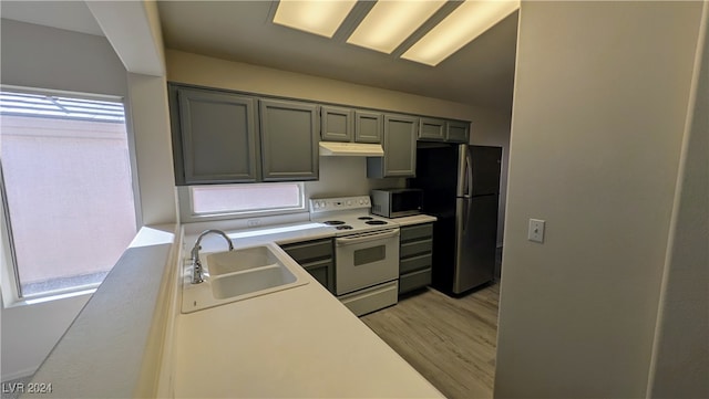 kitchen with light wood-type flooring, sink, and stainless steel appliances