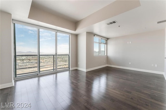 empty room featuring dark hardwood / wood-style flooring