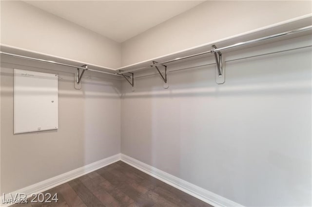 walk in closet featuring dark hardwood / wood-style floors