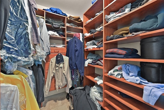 spacious closet featuring carpet flooring