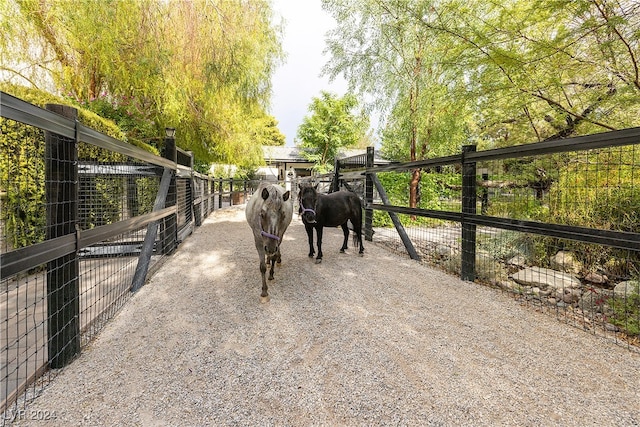 view of stable