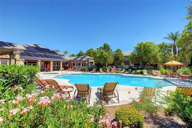 view of swimming pool featuring a patio area