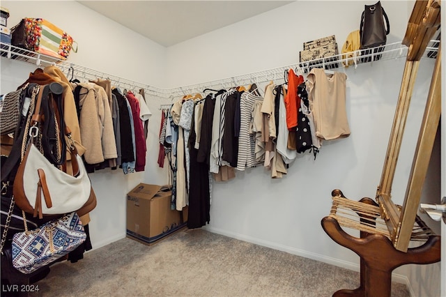 spacious closet with carpet