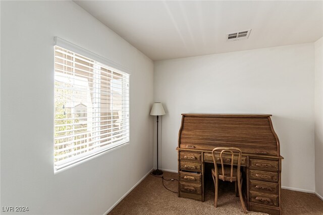 office space featuring plenty of natural light and carpet